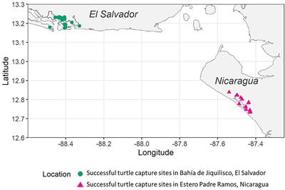 Fishers' Ecological Knowledge and Stable Isotope Analysis Reveal Mangrove Estuaries as Key Developmental Habitats for Critically Endangered Sea Turtles